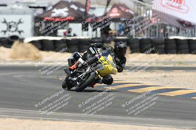 media/Apr-26-2025-BRL Bagger Racing League (Sat) [[9e270f465f]]/7-Super Street Bagger Race/